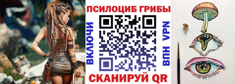 цены наркотик  Озёры  Псилоцибиновые грибы GOLDEN TEACHER 